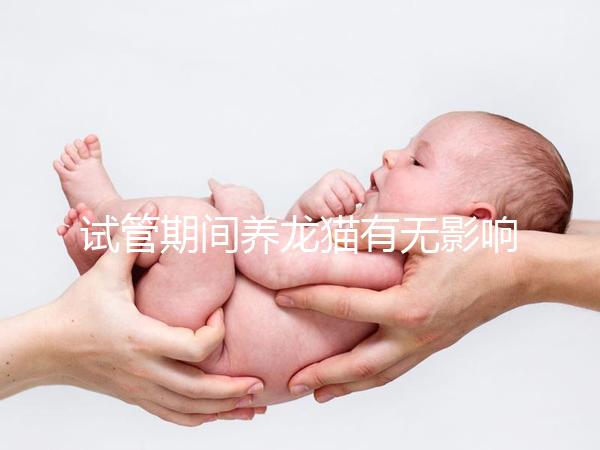 試管期間養(yǎng)龍貓有無影響剖析，是否胎停、流產(chǎn)取決這幾點(diǎn)