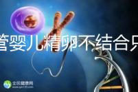 試管嬰兒精卵不結(jié)合只是基因問題？這幾大原因告知真相