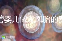 試管嬰兒做龍鳳胎的費(fèi)用并不高，而且成功率也相當(dāng)有保障