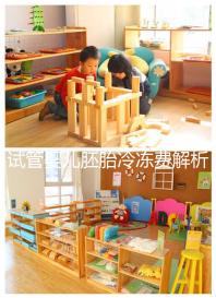 試管嬰兒胚胎冷凍費解析，一年下來大概要花這么多