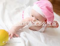 詳解胎盤成熟度怎么檢查、正常值是多少，附超聲報告解讀