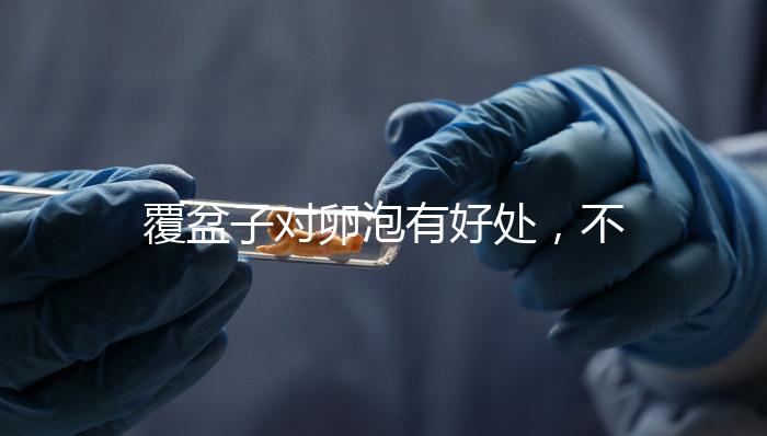 覆盆子對卵泡有好處,不要錯過維持卵巢早衰,軟化宮頸