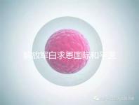 解放軍白求恩國際和平醫院(中國人民解放軍白求恩國際和平醫院)