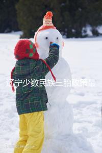 遼寧少數民族三胎政策最新消息來臨，沈陽、大連補助不一樣