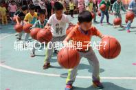 輔酶Q10哪種牌子好?10種不同品牌價(jià)格與優(yōu)勢(shì)對(duì)比分析