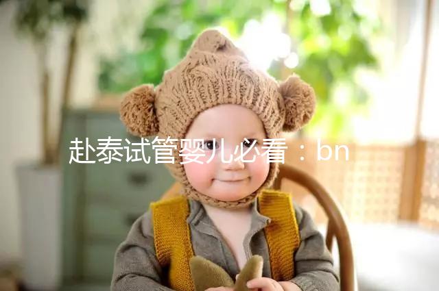 赴泰試管嬰兒必看:bnh和ibaby(愛寶貝)醫院對比介紹