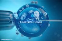 誰(shuí)說(shuō)做試管的丈夫只戒煙十天沒有影響,前一天晚上抽煙或者很難移植?