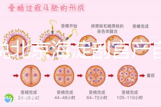 誰說北京海淀剖宮產(chǎn)自付費(fèi)用高，了解2024年生育保險報銷比例？