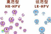 誰說不辦準生證不能上戶,2020年生育新政策了解下!