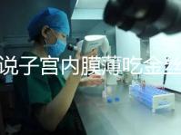 誰說子宮內(nèi)膜薄吃金絲燕窩沒有用，長內(nèi)膜、增加卵泡還有…