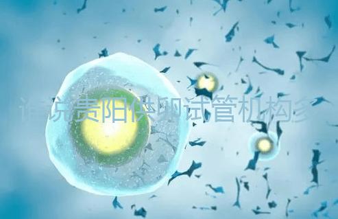 誰說貴陽供卵試管機構多給錢就不用排隊，醫生：不亂收費