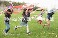 黑螞蟻的功效與作用（黑螞蟻的功效與作用及副作用）