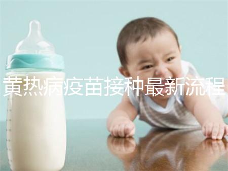 黃熱病疫苗接種最新流程詳解,這八大步驟你需要了解