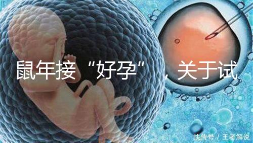 鼠年接“好孕”,關(guān)于試管嬰兒取卵的那些事兒!