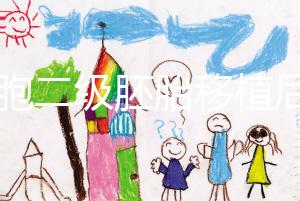 9細(xì)胞二級胚胎移植后8天沒感覺,成功率依然很高