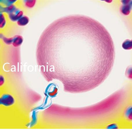 California Cryobank，加州精子銀行實用指南
