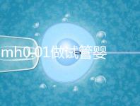 amh0.01做試管嬰兒有成功的嗎?有無(wú)卵子才是好孕關(guān)鍵