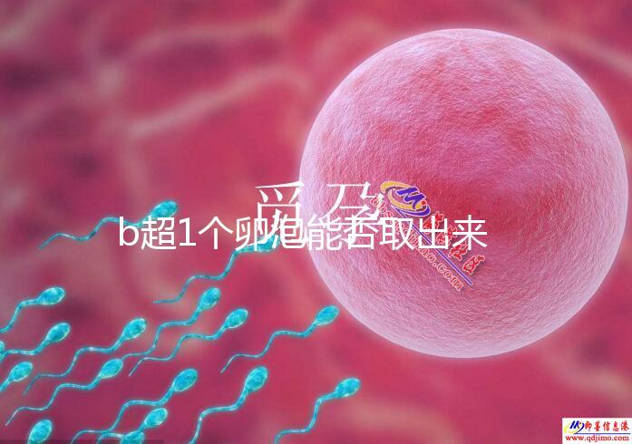 b超1個(gè)卵泡能否取出來分人,質(zhì)量好或有一定受孕幾率