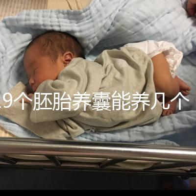 19個胚胎養(yǎng)囊能養(yǎng)幾個真難說,質量好都成功了也屬正常