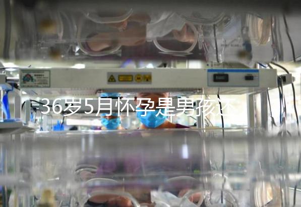 36歲5月懷孕是男孩還是女孩？這些生男生女特征可以看看