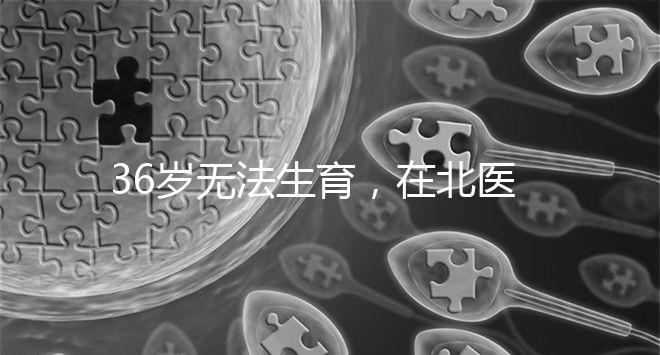 36歲無法生育，在北醫三院做人工授精成功率有多少？