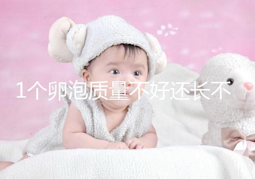 1個(gè)卵泡質(zhì)量不好還長(zhǎng)不大,如何提高試管嬰兒懷孕成功率?