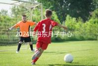 2024年丹東月子中心收費標準，能否接生問題整理，想要制作的戳