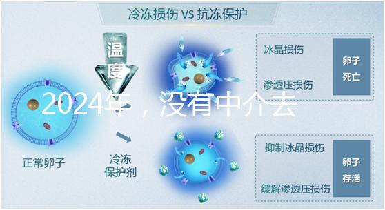 2024年，沒有中介去泰國做試管嬰兒？他們有必要這么說嗎？...