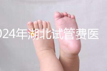 2024年湖北試管費醫(yī)療保險可以報銷?專家:時間還沒到?