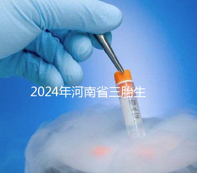 2024年河南省三胎生育津貼發(fā)生變化!南陽和信陽最高獎(jiǎng)勵(lì)20萬!