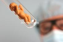 2024年陜西省規定發放獨生子女費，包括咸陽市補貼標準和領取流程