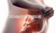 2024哈爾濱生殖科哪個醫院好，哈醫大一院或二院區別對比