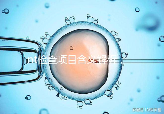 nt檢查項目含義解析，每個內容都相當重要