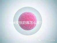 nuk安撫奶嘴怎么樣?4大系列總會(huì)有適合你的