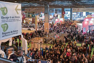 賦能品牌，引爆流量 展會宣傳片高效策劃全攻略與專業(yè)服務(wù)咨詢