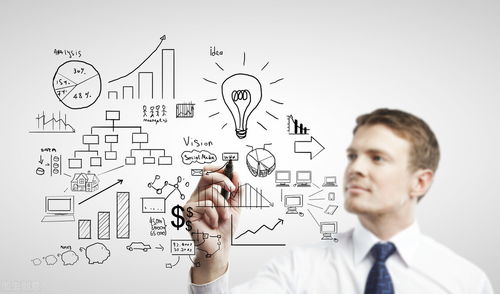 破局與新生 傳統(tǒng)軟件企業(yè)轉(zhuǎn)型中的互聯(lián)網(wǎng)產(chǎn)品市場策劃與運營思路探析